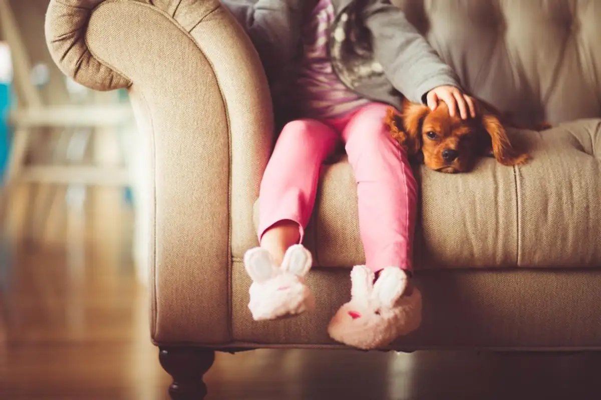Enfant installé sur un canapé devant la télévision familiale